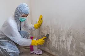 Best Water Damage & Mold Remediation  in USA